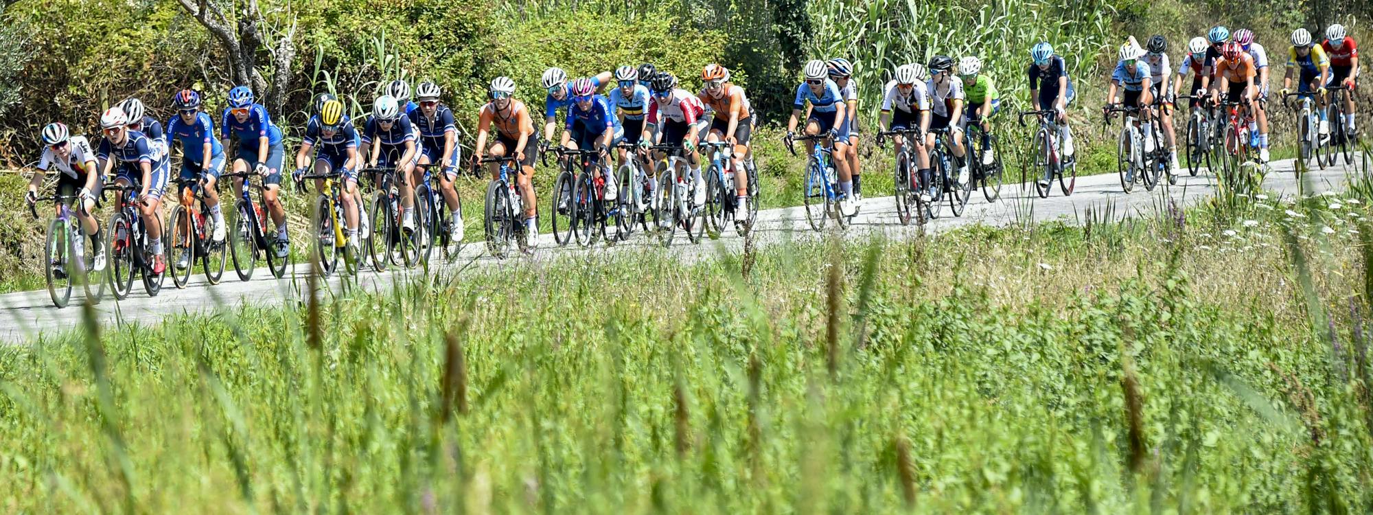 De HeusdenZolder à Hasselt en passant par les plus belles routes du